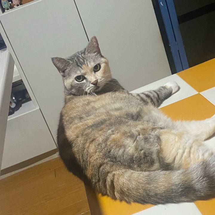 5d8c31da d782 44ba 92a0 3a1d22348784 1727975587965