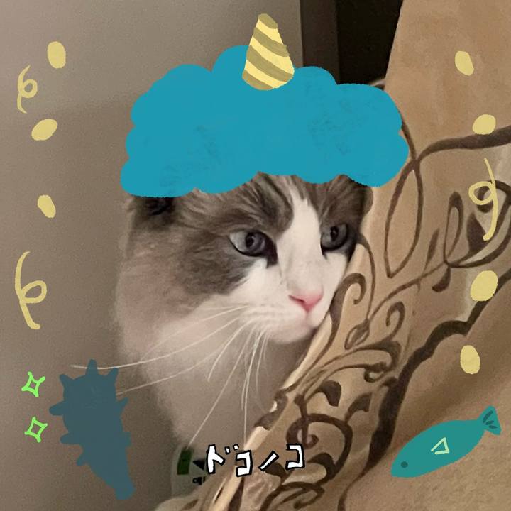 5d8c6b9d e4fe 4552 8fc3 80081b8fced8 1707305866984