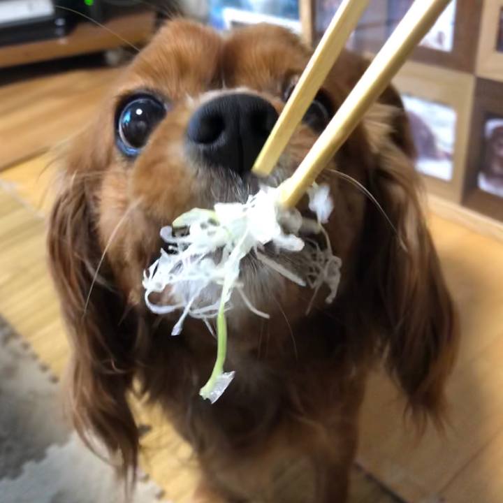 5d8c6e50 453e 4f65 8cc2 4bd9d757d744 1590662191733