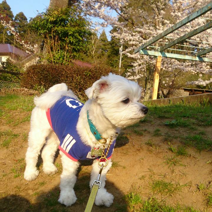 5d8c86c3 ada7 4cf8 af58 f37fb120dfa5 1522225316376