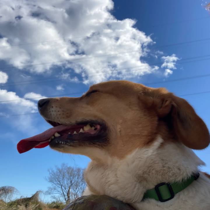 5d8c9572 8c76 4ccd 9ea5 8a3ba0d732b7 1738728719594