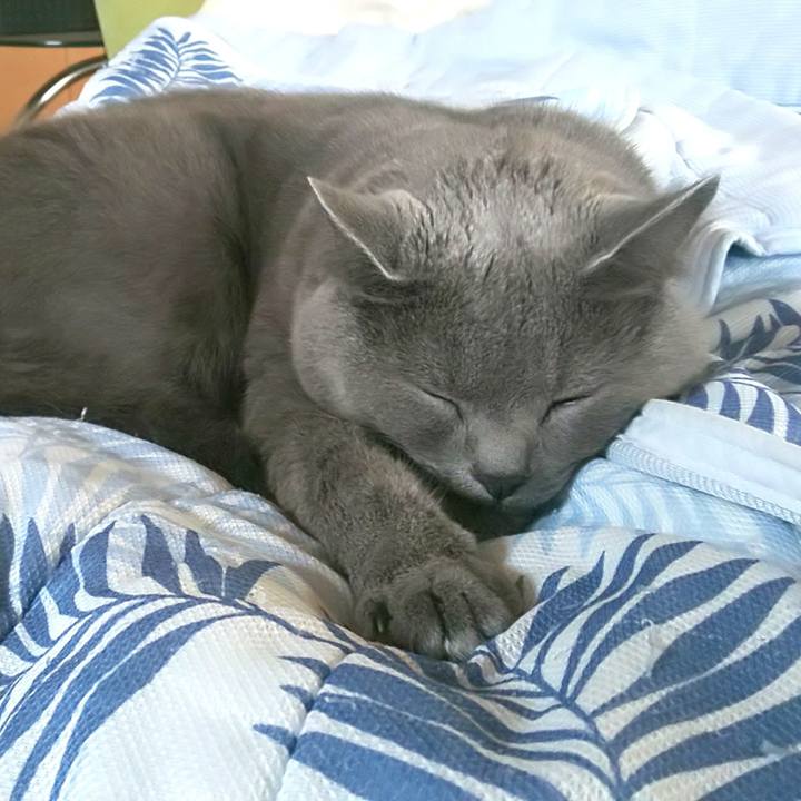 5d8ca297 bfbc 4702 972e 5eeb0d5fc7b8 1599455968832