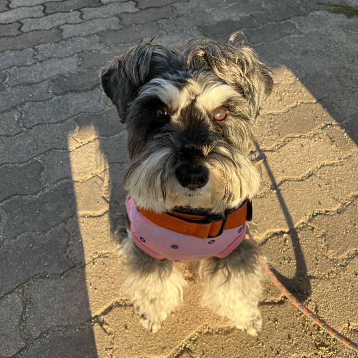 5d8cb95d 86da 4c45 b3c0 3b4e20c153d2 1728856958089