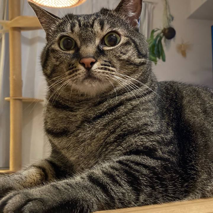 5d8cd724 298f 4c42 b9ba 6efbfa44e2dc 1658046700924