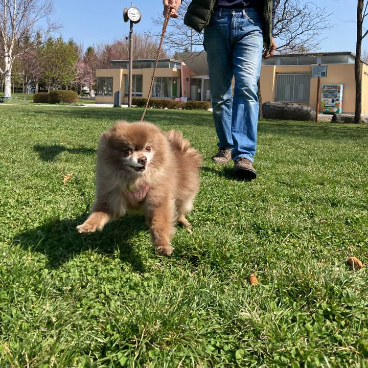 5d8cdf9a 0f8c 4779 9a93 5fbfd01d8dcf 1650521684307