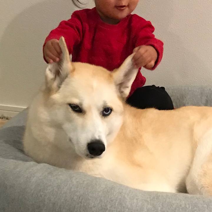 5d8d08d1 27cb 4d1d 9b1e b6b03f9c9936 1513334008204