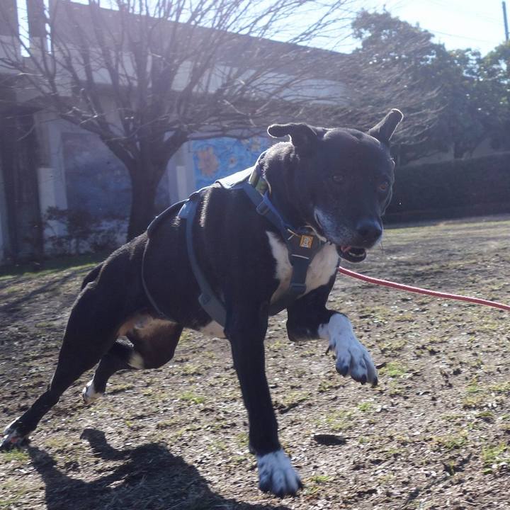 5d8d3ec6 0c64 48ce 9422 61171cf1f919 1710291115087