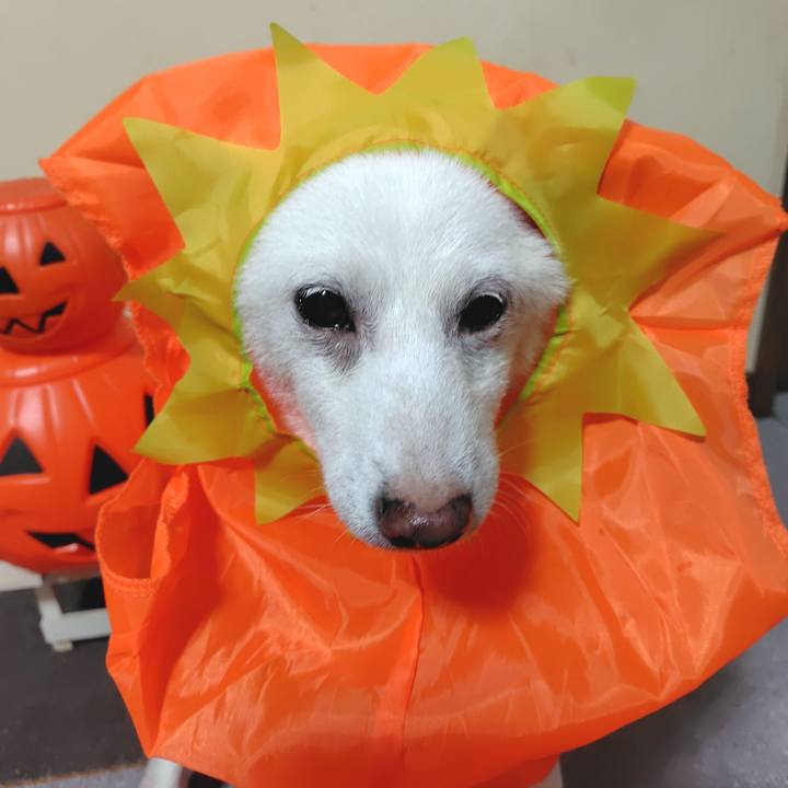 5d8d6ecb fdb5 44ff 962d 46cce8b6f78d 1761902550601