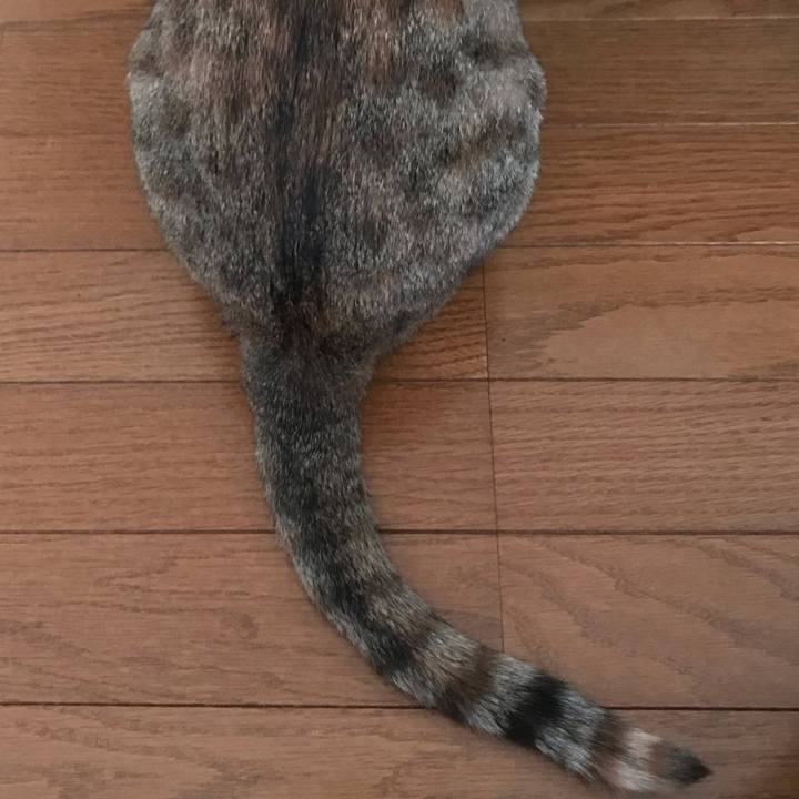 5d8d76b3 a994 4315 b07b 6906d40c4dcc 1590971045534