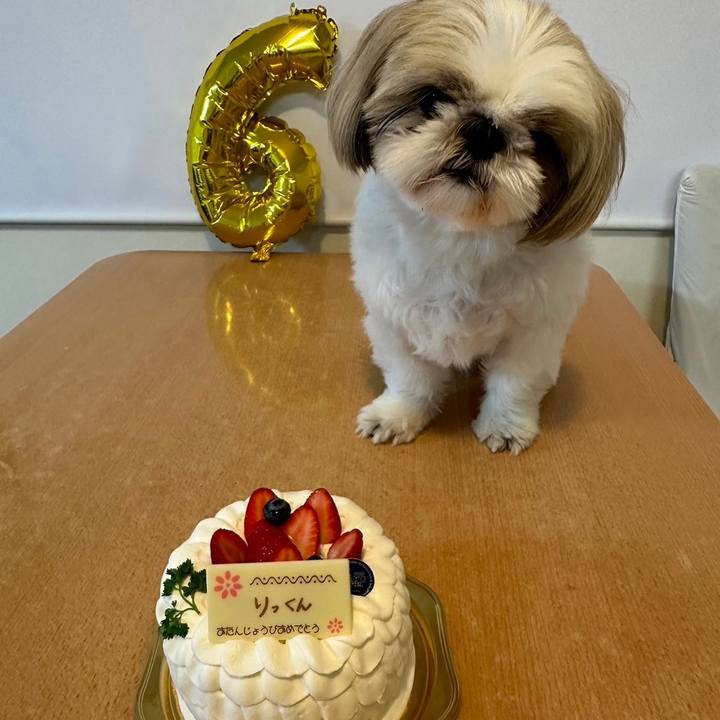 5d8d83a5 3473 4593 9b52 7e6f4c89ea47 1713598853961