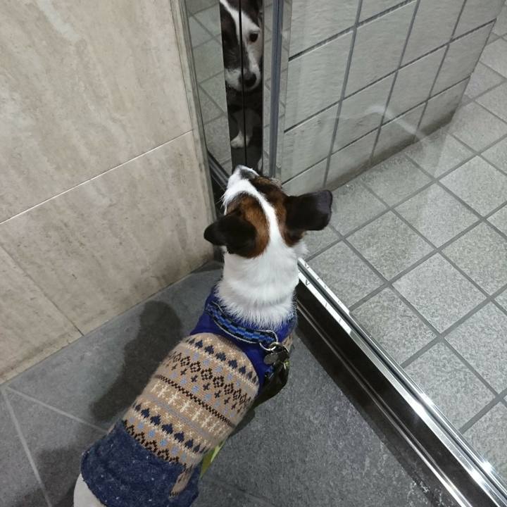 5d8dc0d1 60e5 417d a198 74e88fc32966 1517920922590