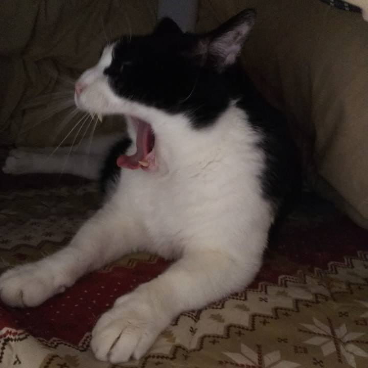 5d8dcb34 6989 413d 9574 d41acf869201 1551585067087