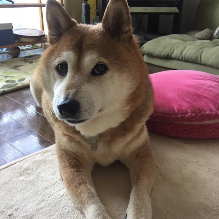 5d8ded47 a073 4651 90d7 10fc0e96b2c8 1524273470003