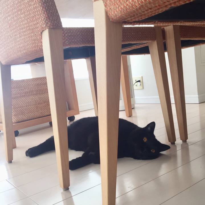 5d8e07e3 19b2 4305 9cfe 476247b17838 1532232022686