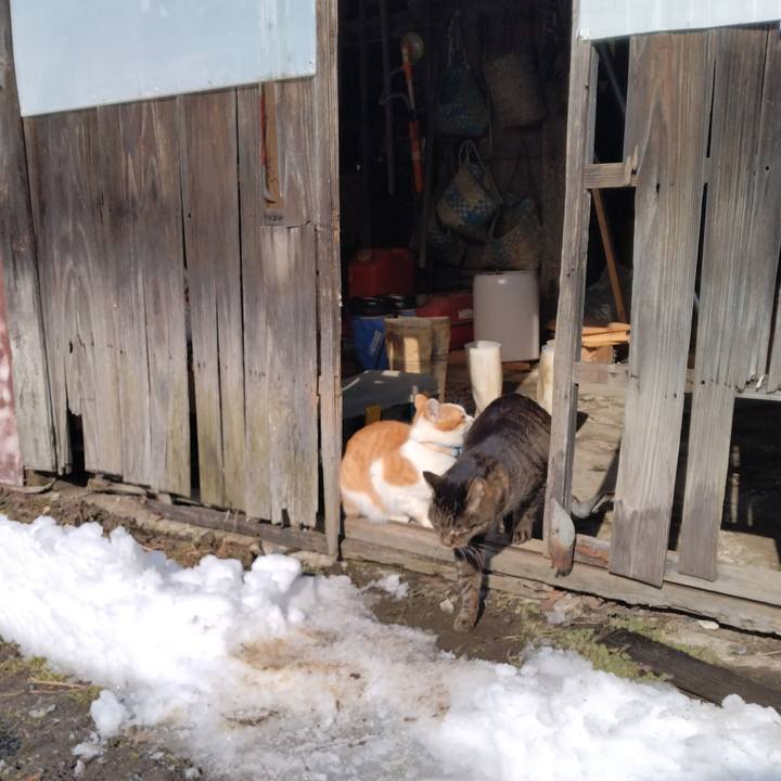 5d8e37d8 6991 40f7 8e31 e259dcc1711a 1738466699707