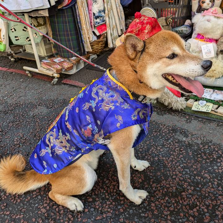 5d8e4cc3 bf97 4a95 988d 887226b46122 1723067311821