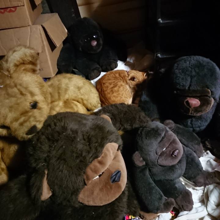 5d8e8e1b 6c82 4097 889c b1f092ec7d0b 1604143635619