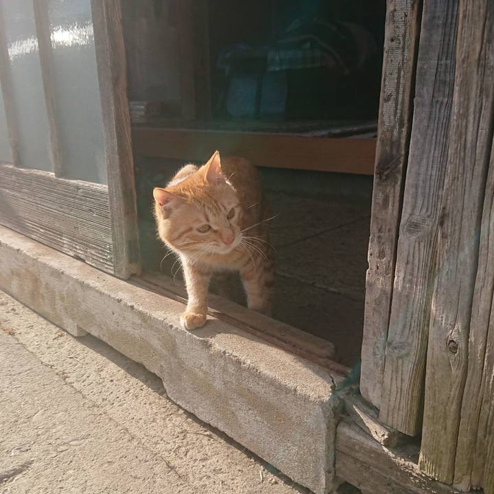 5d8eb257 bad7 41fa bf46 5b85d2682052 1649143241470