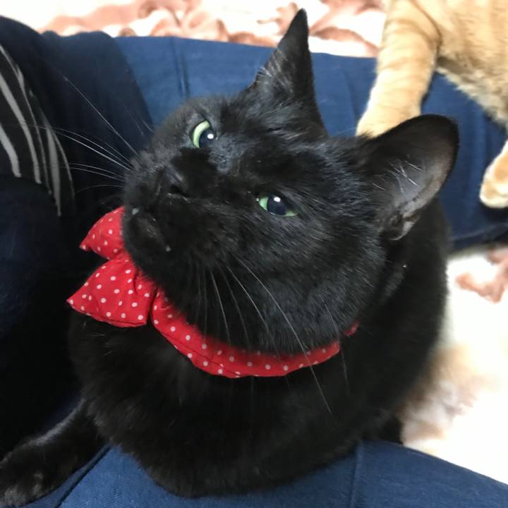 5d8eba82 5d2b 4932 b50f 8415f152ba72 1561249325662