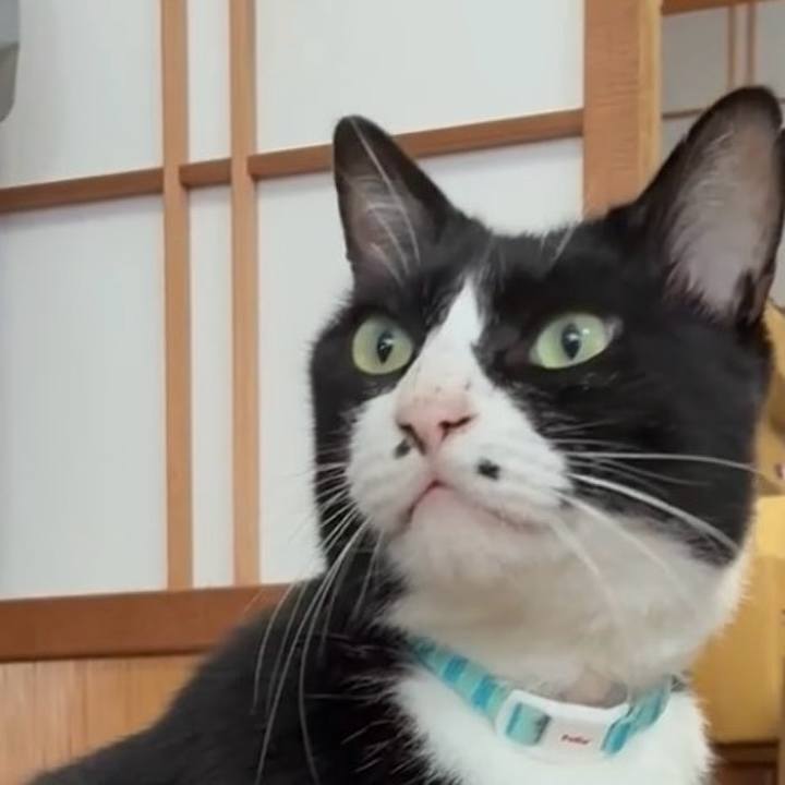 5d8ebf8d aa59 48aa 9830 3951da3920d0 1761447352306