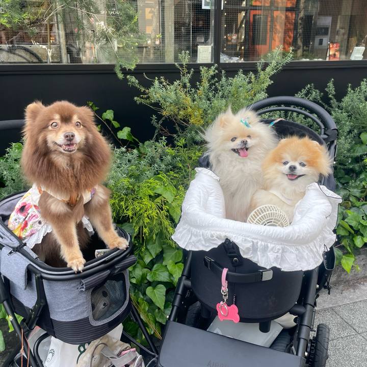 5d8f158a a03b 418c af2e ac58079974b9 1747818771566