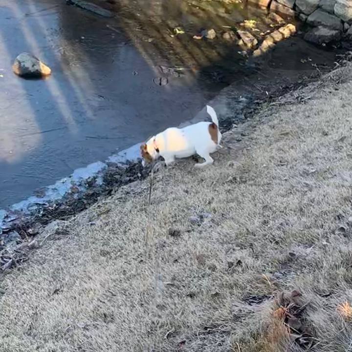 5d8f27e6 0f8e 4a67 9a9e b35641a840b2 1546566952657