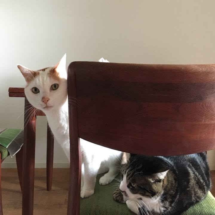 5d8f6cd4 3d86 494a ba93 155da589cb75 1516496197932