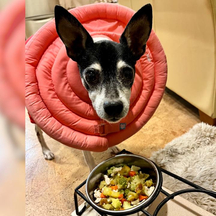 5d8f9202 3fc7 4c4b 8ad3 dace5ccba722 1643106465953