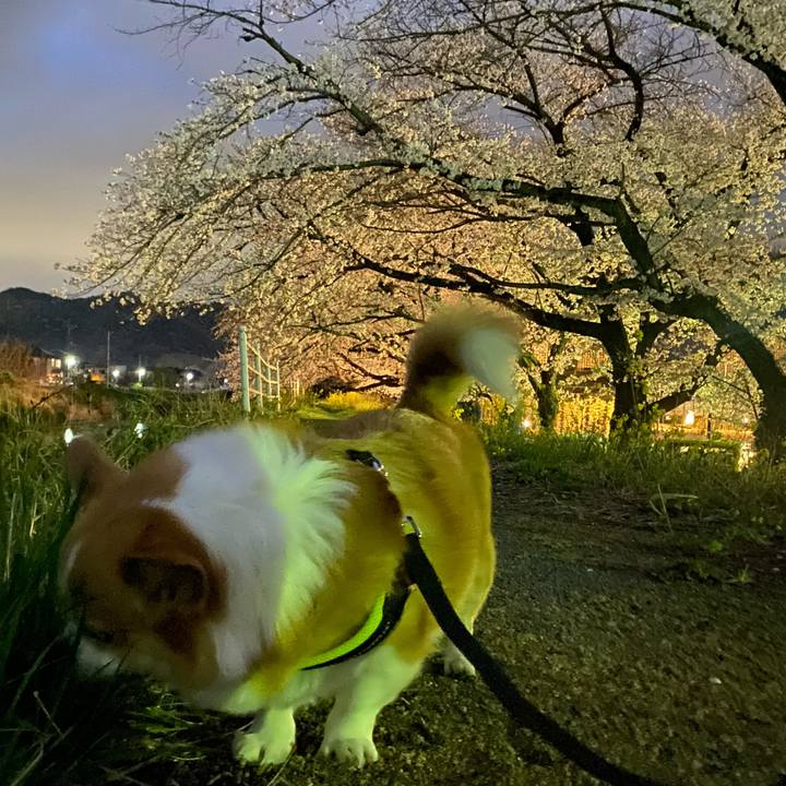 5d8fbcde 79db 45fe 9049 f8c87de7f571 1743858172781