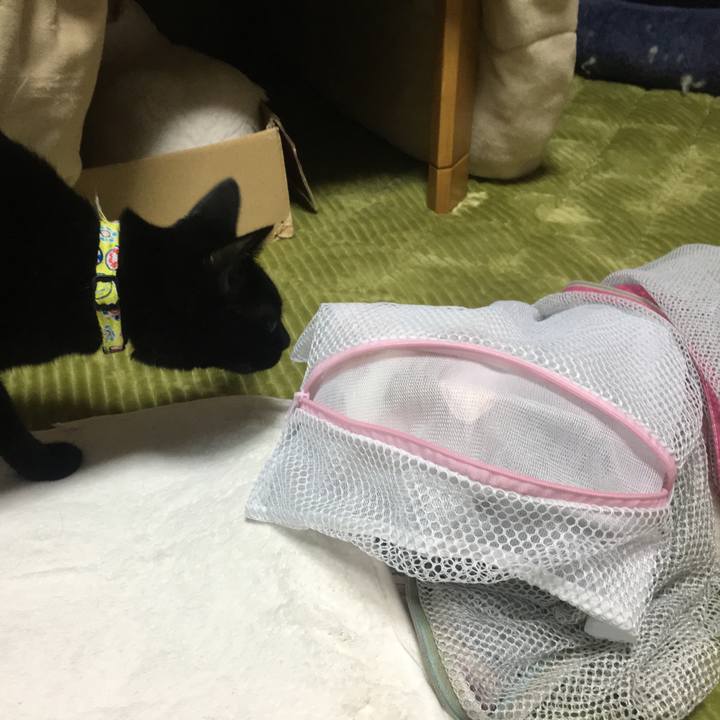 5d8fe9d2 6757 4f1a 8edf ea70448cbbd9 1542294053355