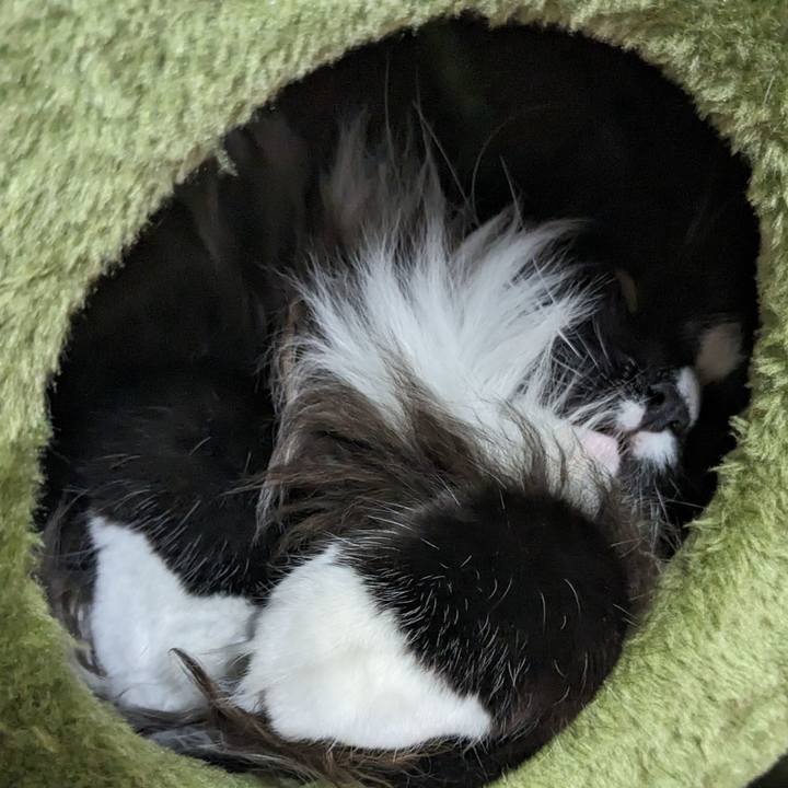 5d8ff327 4a85 4c52 ab50 ea25e692ad79 1690693651098