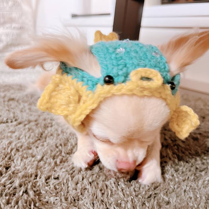 5d8ff4e9 458c 48e3 b1d0 ab2ec1e3ea3f 1662617619908