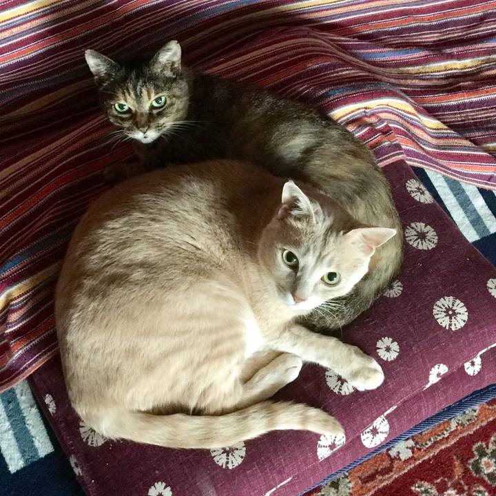 5d901621 9a86 4e9e 81c7 59e9b8bf1e07 1556061633389