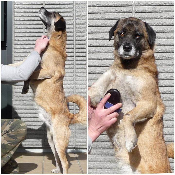 5d9045ab 5902 408f 9902 0a6a1268127d 1577630536939