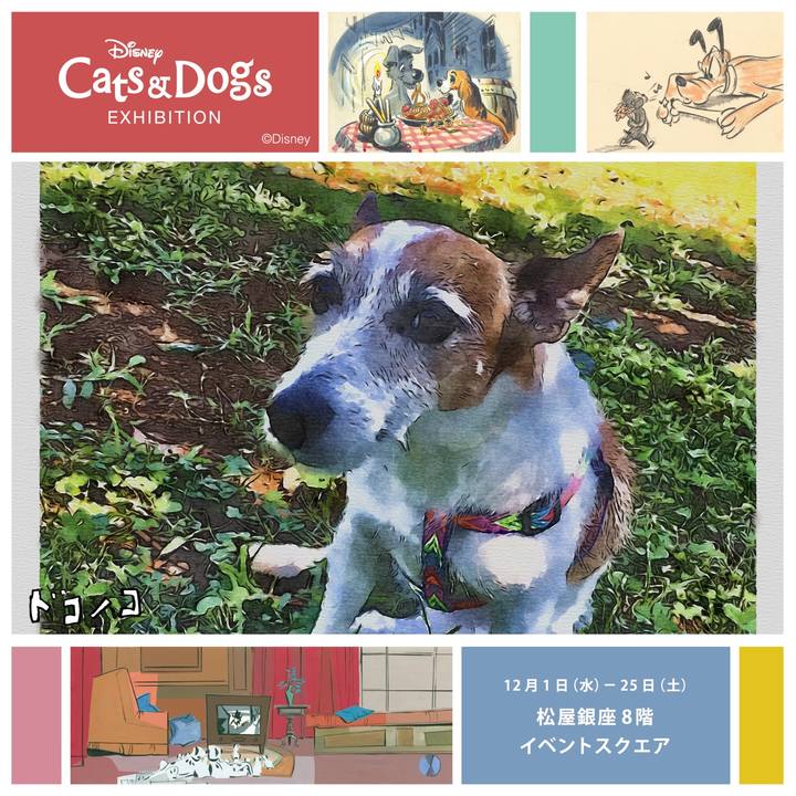 5d90511d 7fd7 4d80 8517 8e02fd2bd36d 1638401031388