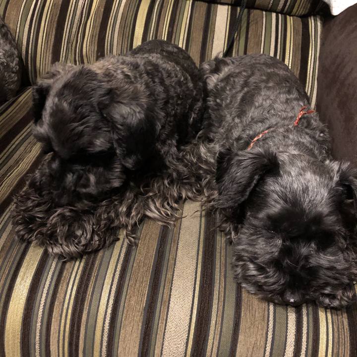 5d9059c9 381c 48e0 8476 d64779697dfe 1586517197655