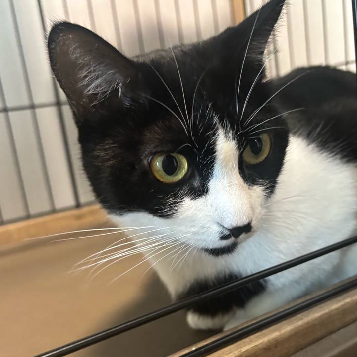 5d906093 553b 473f 8440 e0a22cf153c4 1757982271731