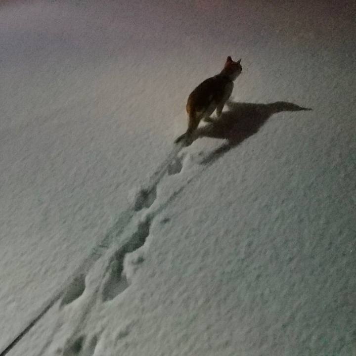 5d907483 246e 4721 b251 c1092c9a0555 1514386365983