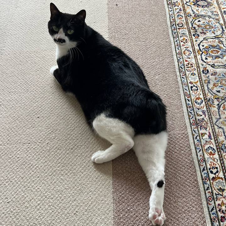 5d9099f4 c8a2 4a6c b927 c18a7a73027a 1773200656917