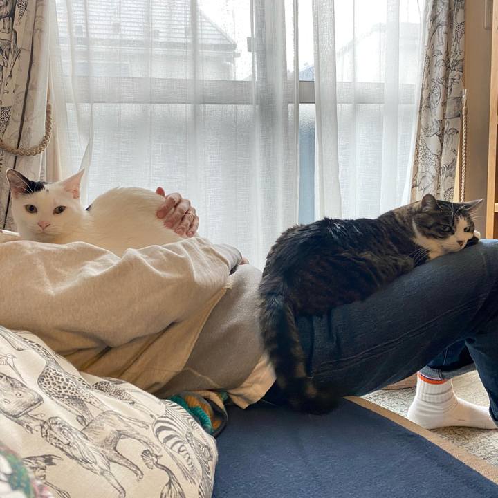 5d909be5 2a4c 4ba6 830e e1d7e1b70a30 1679120524482