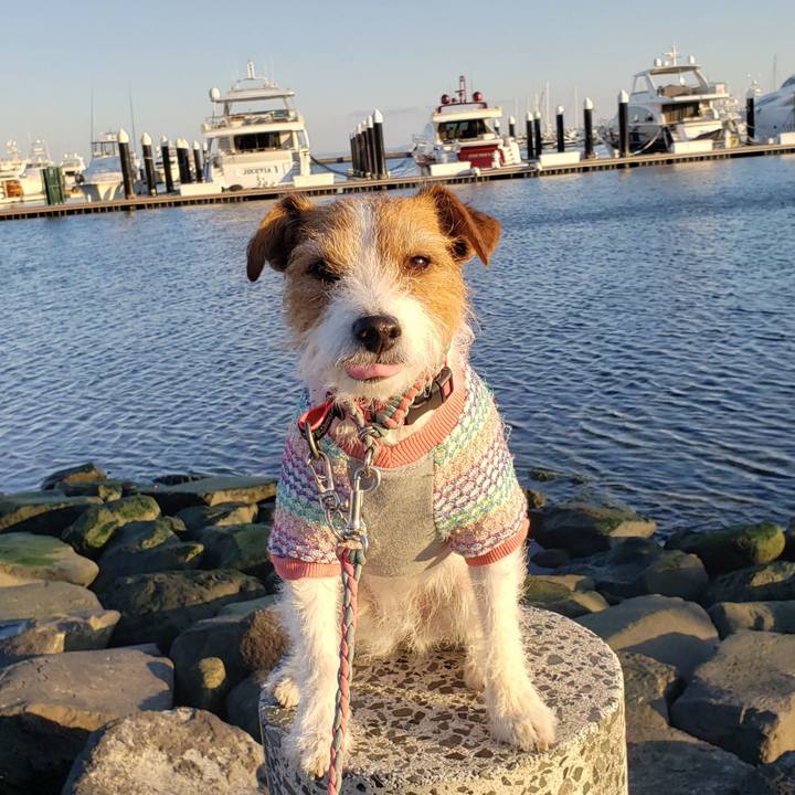 5d90d0ca 0f24 4925 b439 88f6bf947ac6 1646132107904