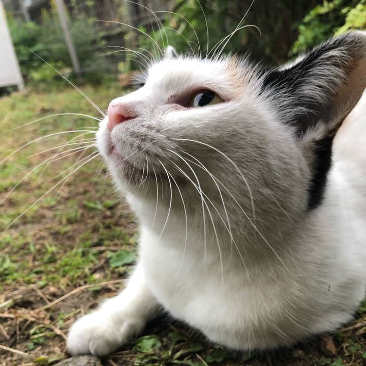 5d90f235 8e8a 472b b429 bd5a5884a757 1603836681993