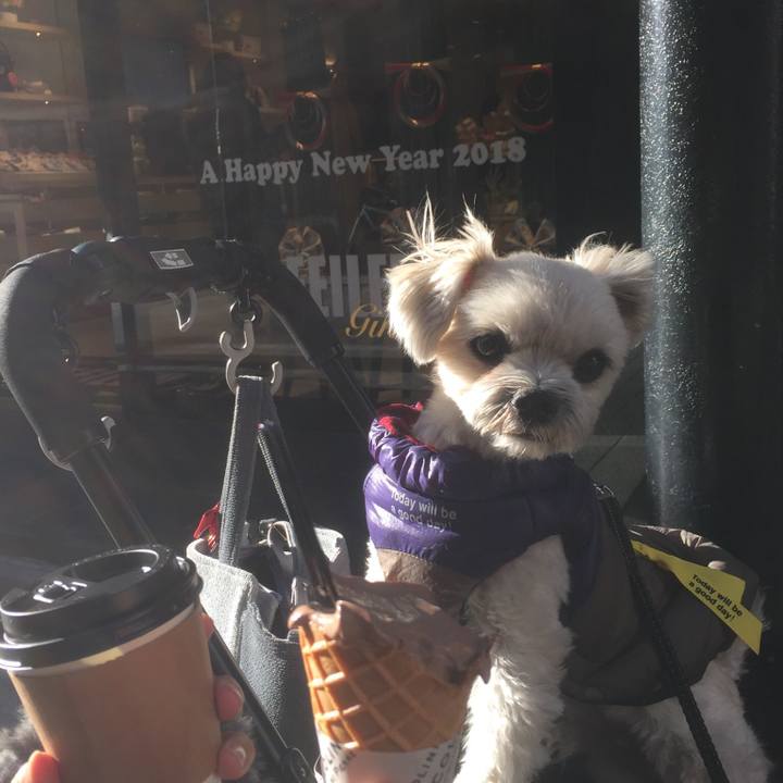 5d90f50f 52b6 4d3a b4de 1a94f1df2a12 1515320957329