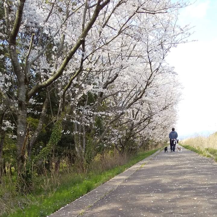 5d90f565 b58e 4b04 abef 68283dd87382 1586612651476