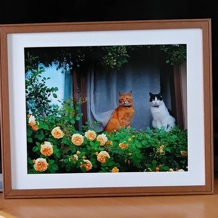 5d90fd95 381f 43df a6fe 3cf078e92f8d 1588473591012