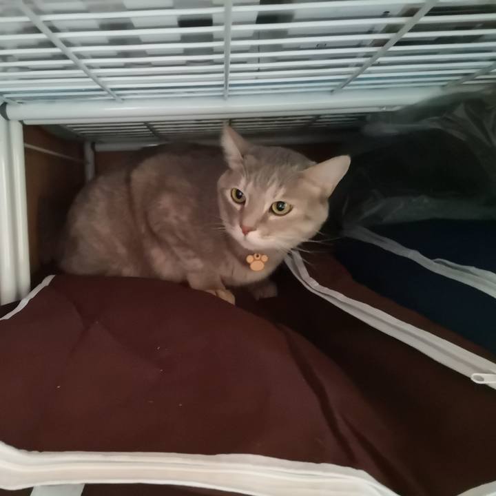 5d912096 7375 4f91 8a1c c6375f8adfe1 1588130230854