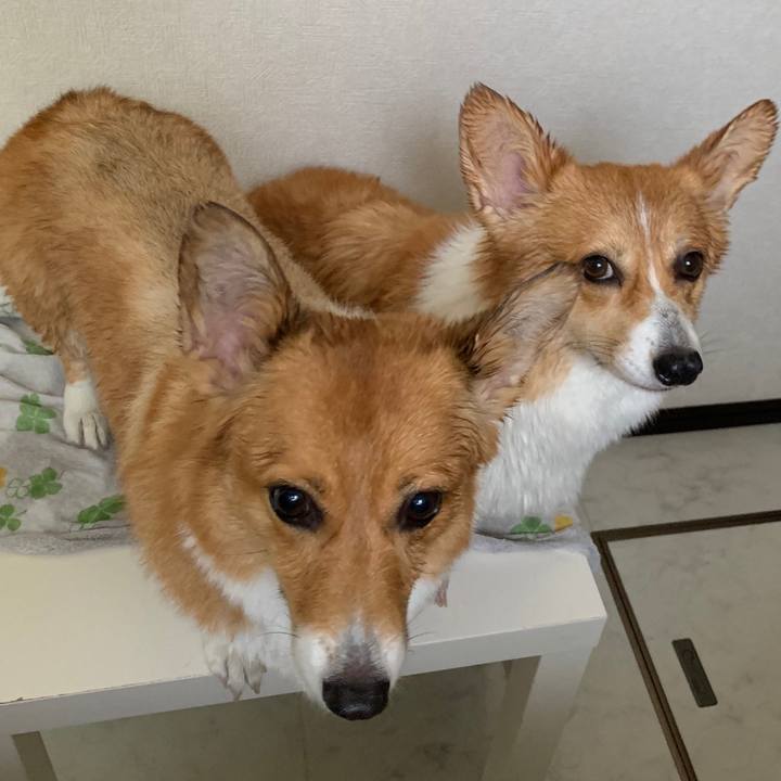 5d912661 432f 4ca8 aeb8 b6926fd7a078 1559796225557