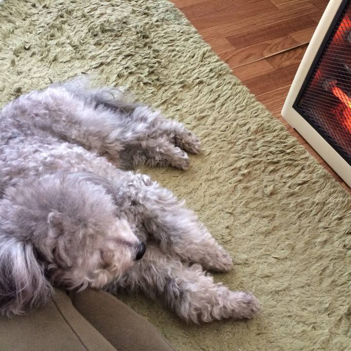 5d915828 1dd3 4a00 ab07 331862d3e393 1735102025224