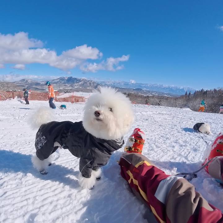 5d917140 77b7 4519 b70b e06e12d64806 1768574714982