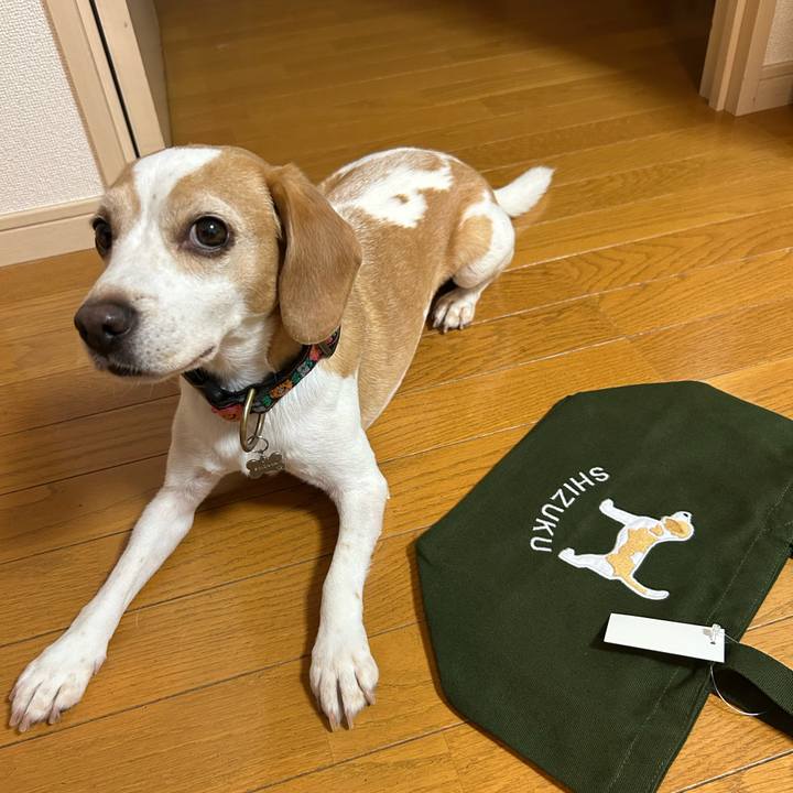 5d917a19 0902 4935 876a 3851a98f40f7 1730374785433